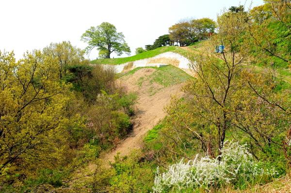 부여 가림성(성흥산성) 1번째 이미지