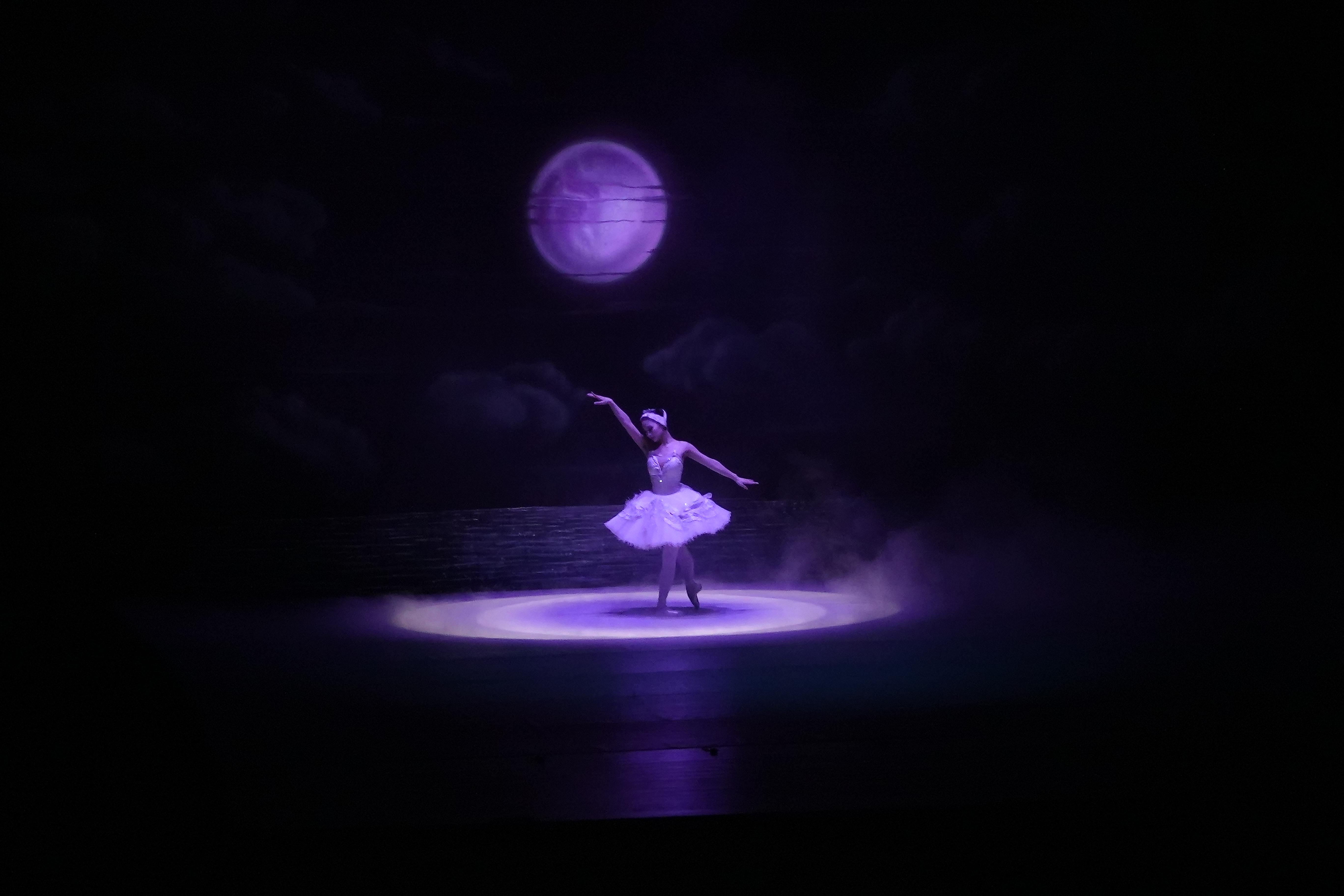 서울시티발레단 <백조의 호수>